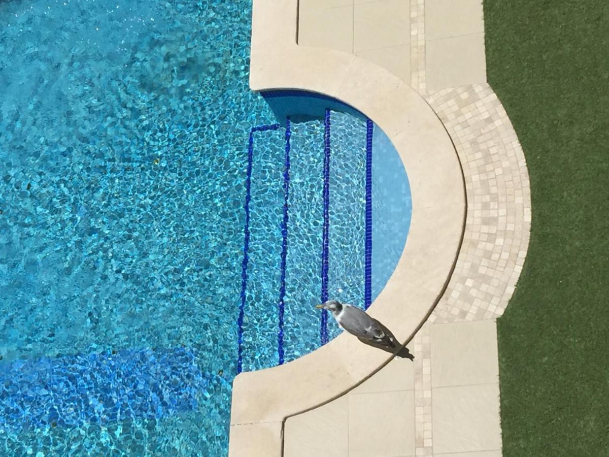 3 Min Walking To Peneco Beach Albufeira , Apart + Pool + Wifi Exterior foto
